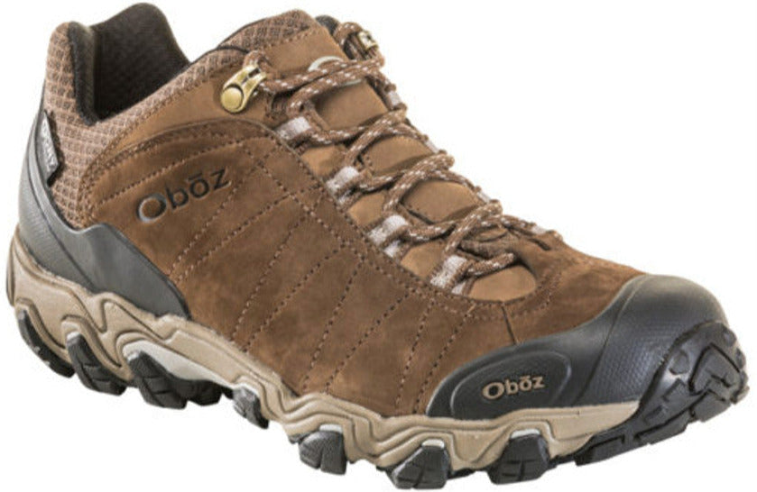 Men's Bridger Low Waterproof Hiking Boot