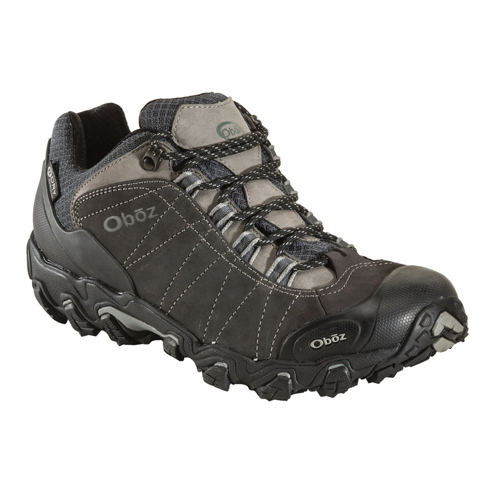 Men's Bridger Low Waterproof Hiking Boot